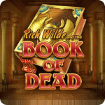 Book Of Dead logo